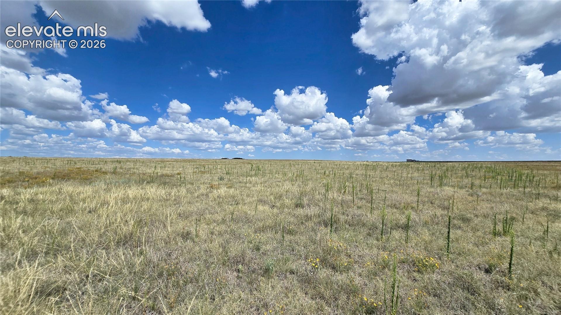 2715 Longhorn Ridge View Peyton, CO 80831 - Photo 19 of 24 Gallery Image 19