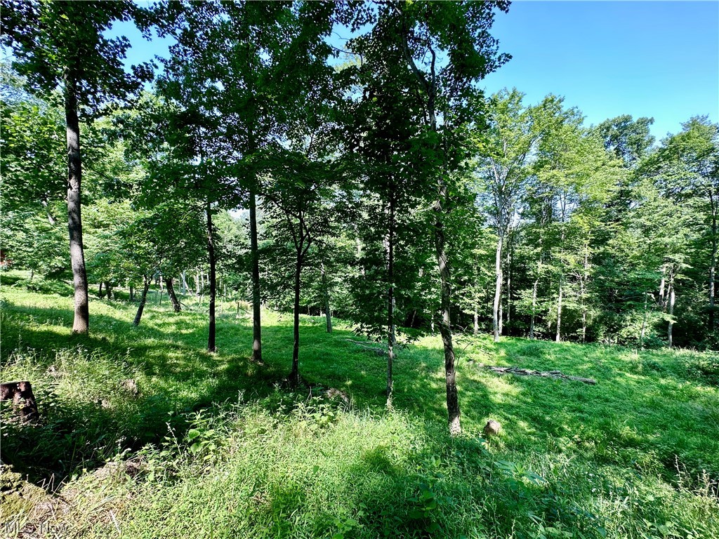 285 Humble Heights Road Walker, WV 26180 - Photo 27 of 31 Gallery Image 27