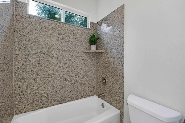 a view of a backyard with large tree