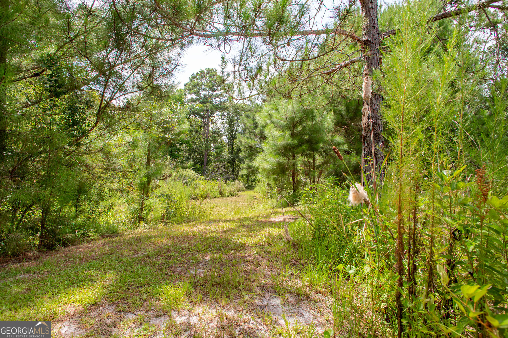 2512 Beulah Church Road Alma, GA 31510 - Photo 30 of 59