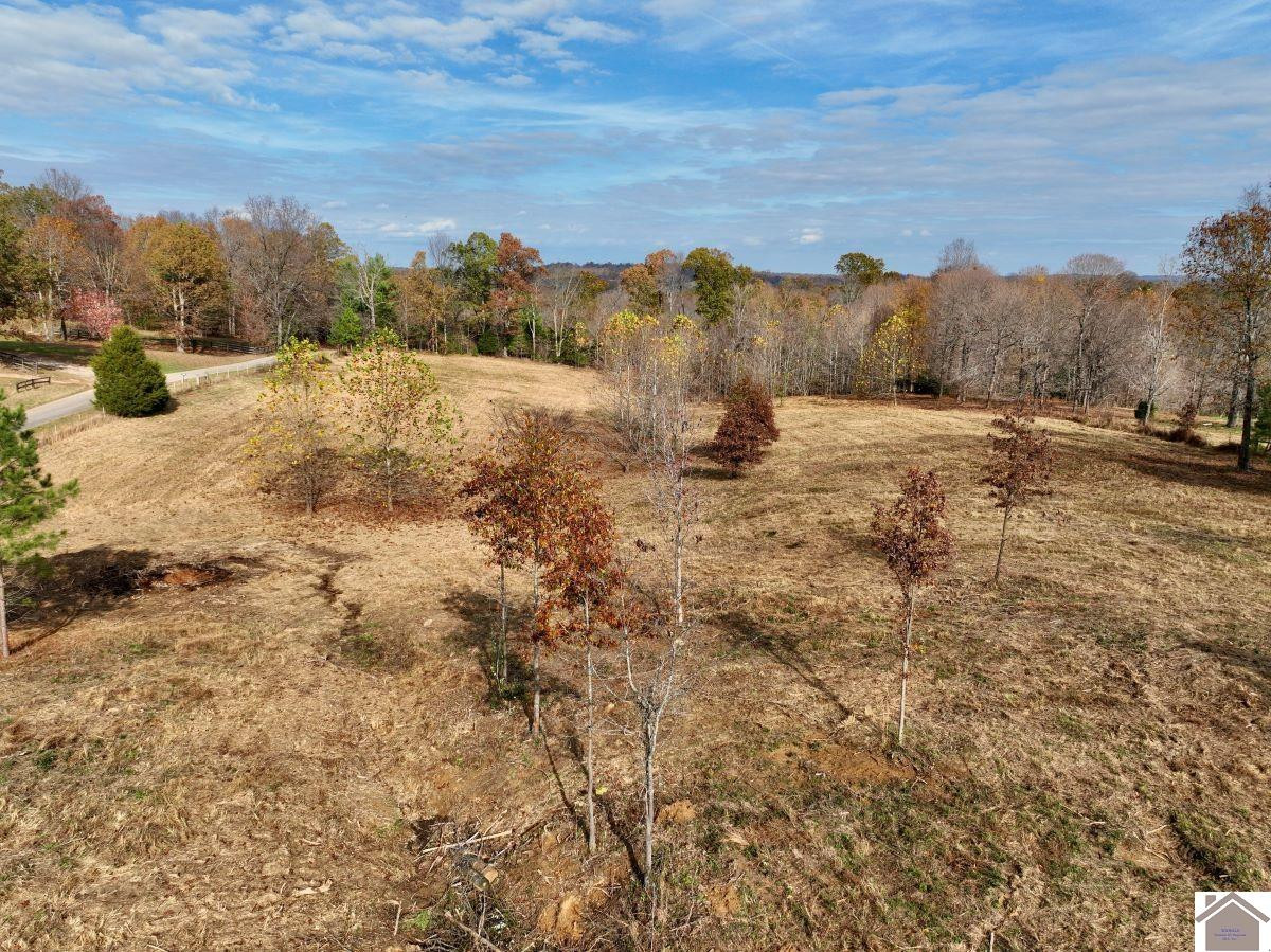 0 Goodsprings Road Fredonia, KY 42411 - Photo 6 of 33 Photo 6