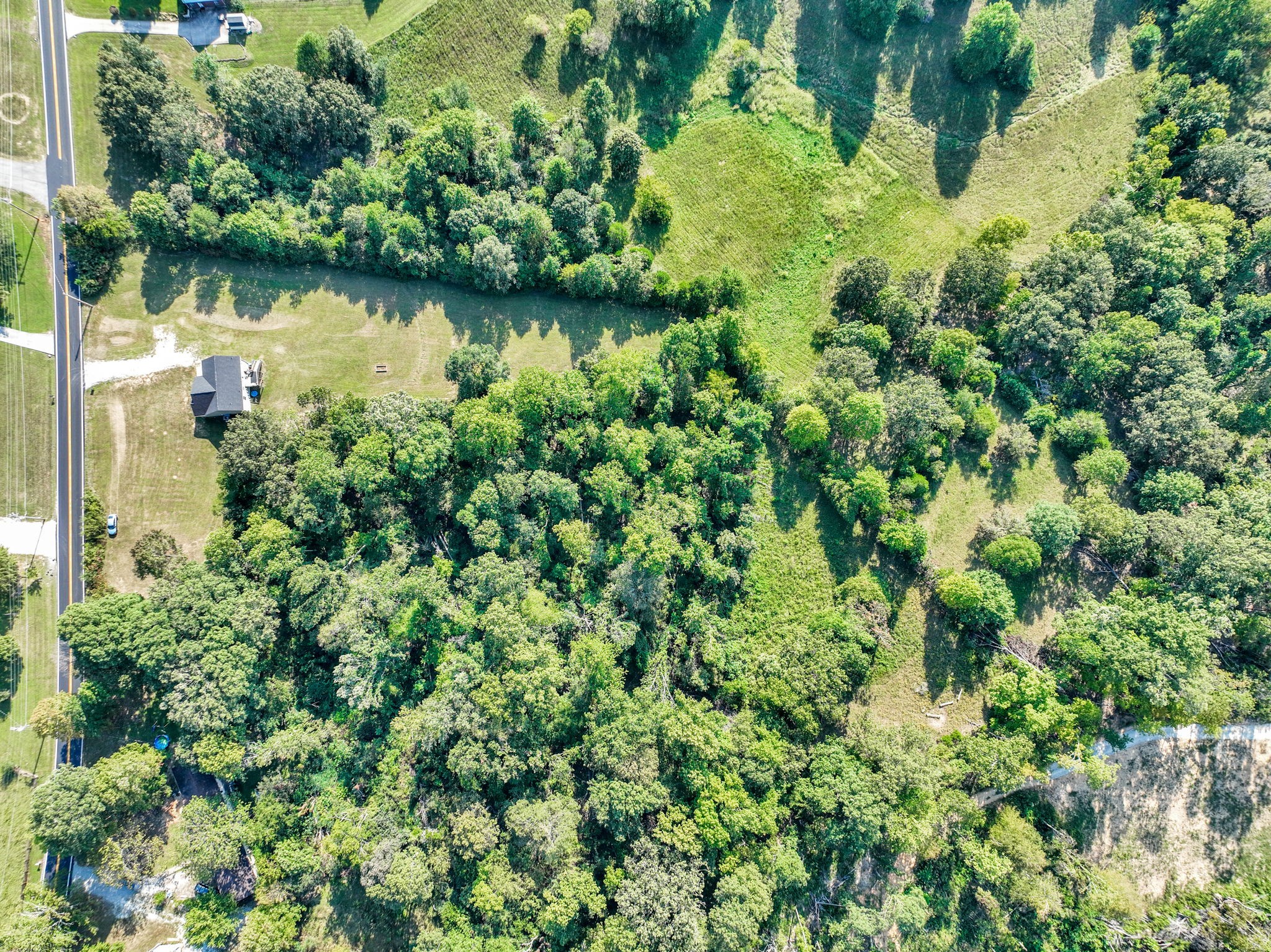 541 Murrell Road Dickson, TN 37055 - Photo 25 of 29 a view of a garden with a lake
