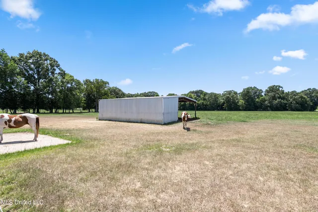 $799,000 | 3148 Volley Campbell Road, Terry, MS 39170