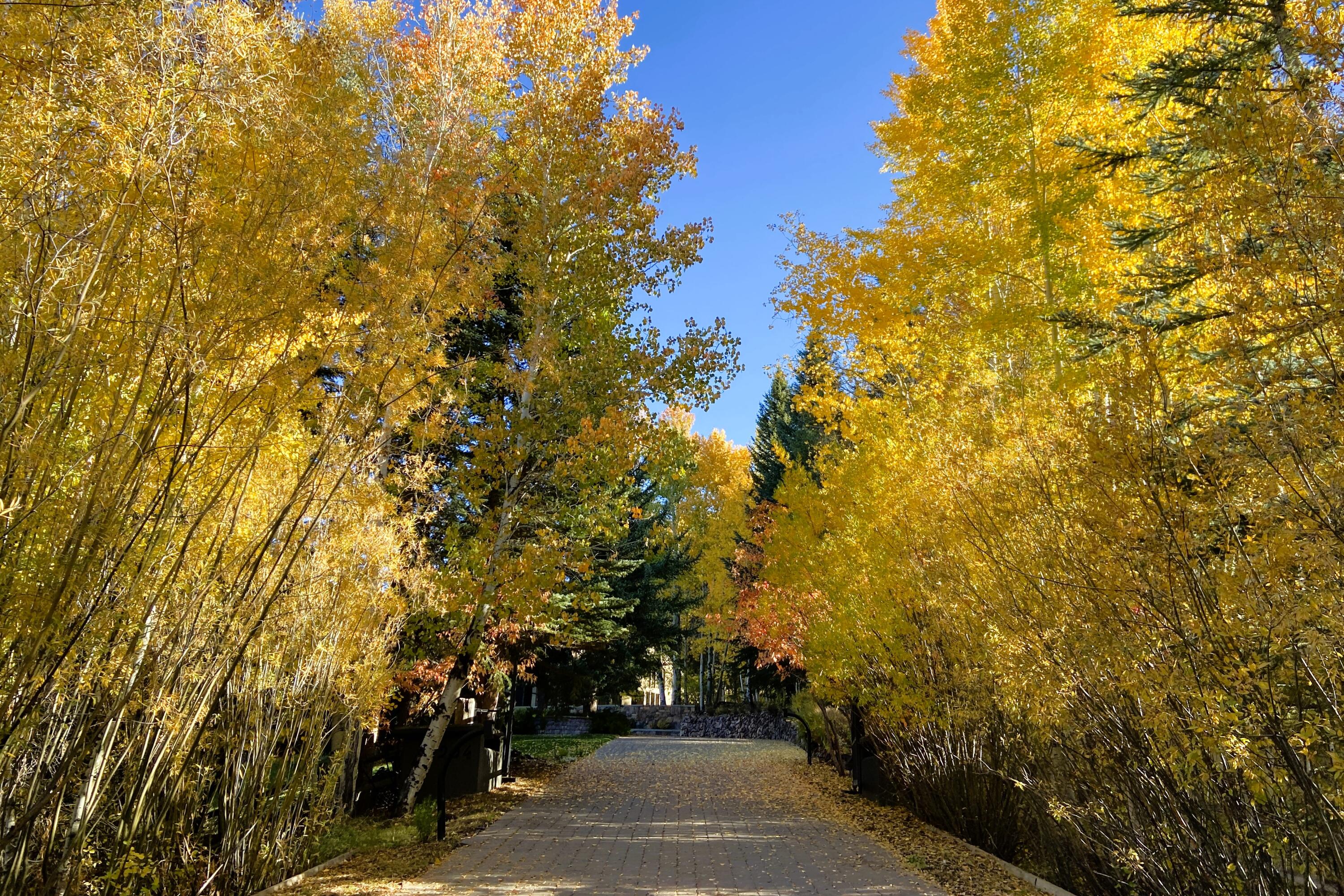 204 Big Wells Road Sun Valley, ID 83353 - Photo 4 of 10 Private Gated Driveway