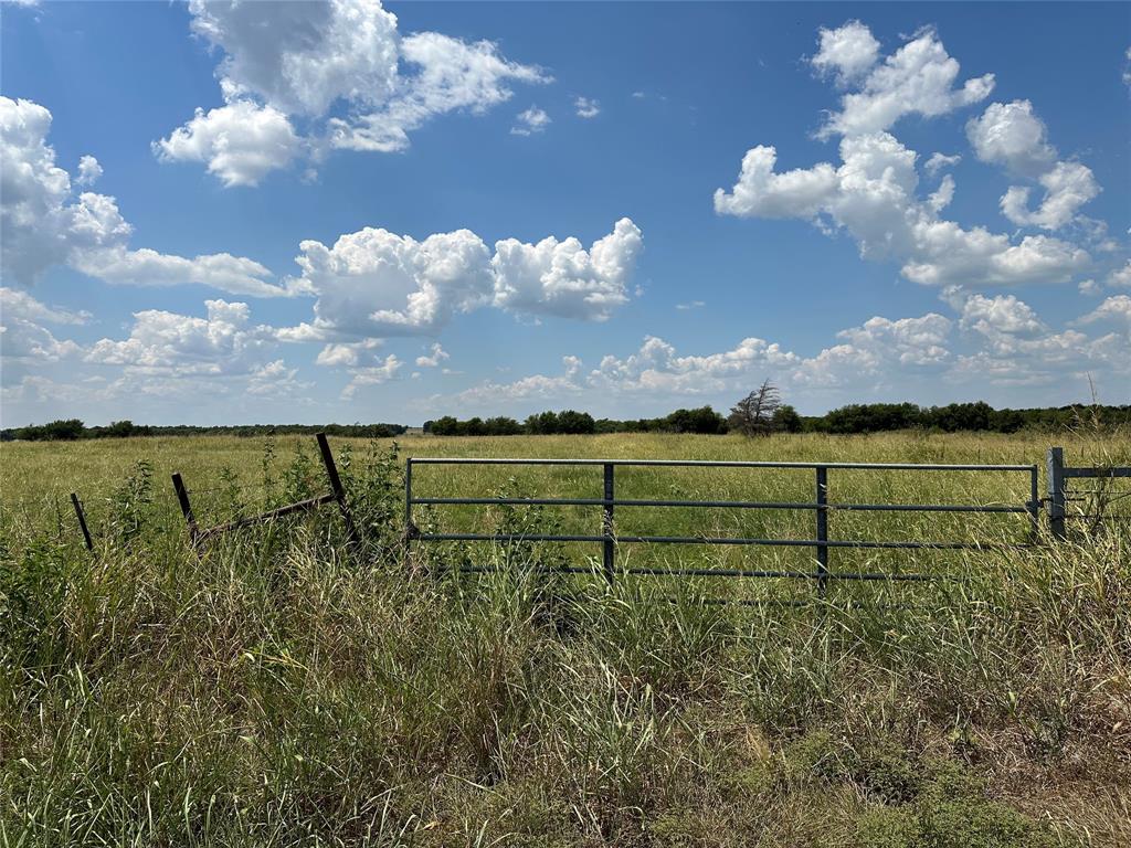 3767 East Line Road Whitewright, TX 75491 - Photo 15 of 25 Gallery Image 15