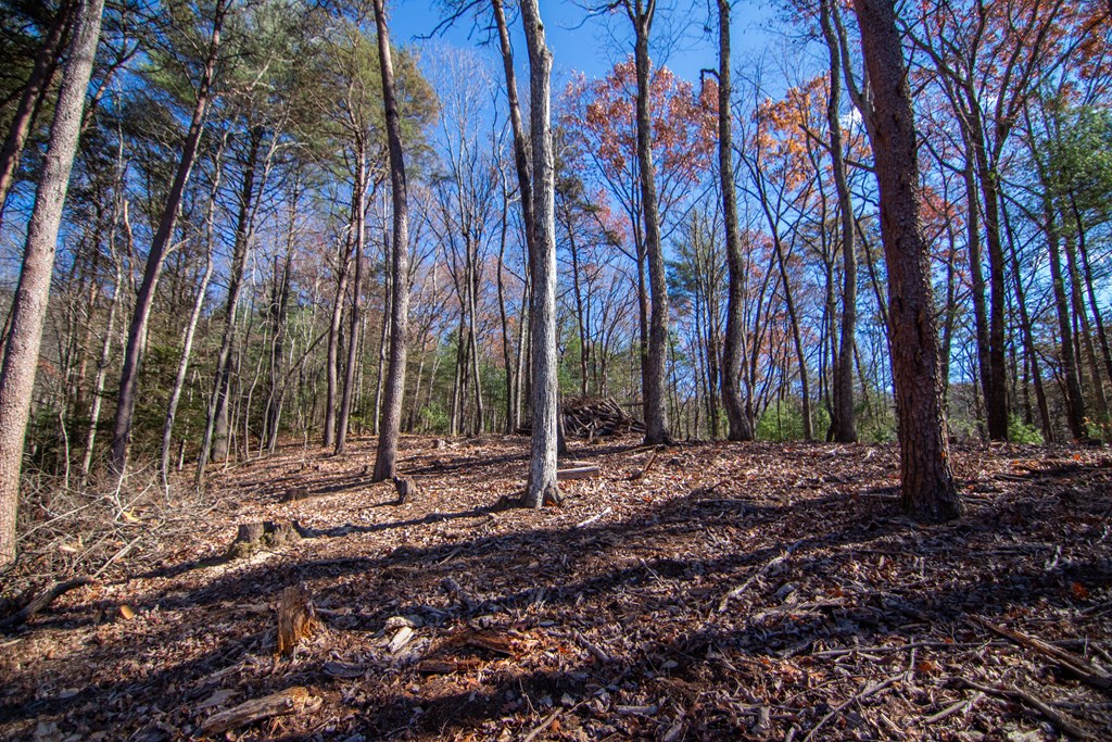 2 A Clay's Way Cherry Log, GA 30522 - Photo 12 of 14 a view of outdoor space with trees