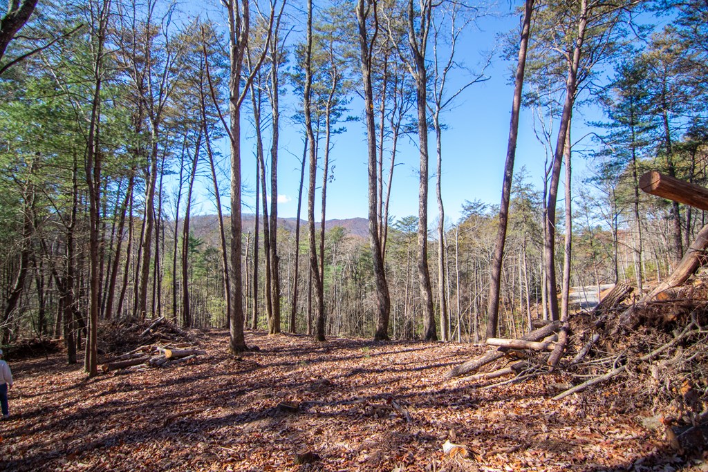 2 A Clay's Way Cherry Log, GA 30522 - Photo 4 of 14 a view of a backyard of the house