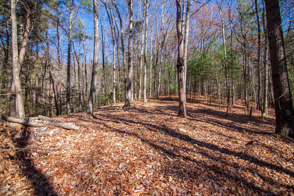 2 A Clay's Way Cherry Log, GA 30522 - Photo 6 of 14 a backyard of a house with lots of green space