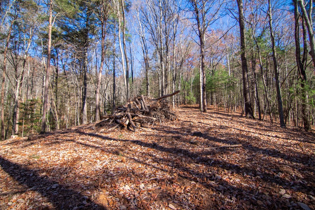 2 A Clay's Way Cherry Log, GA 30522 - Photo 10 of 14 a view of outdoor space with trees