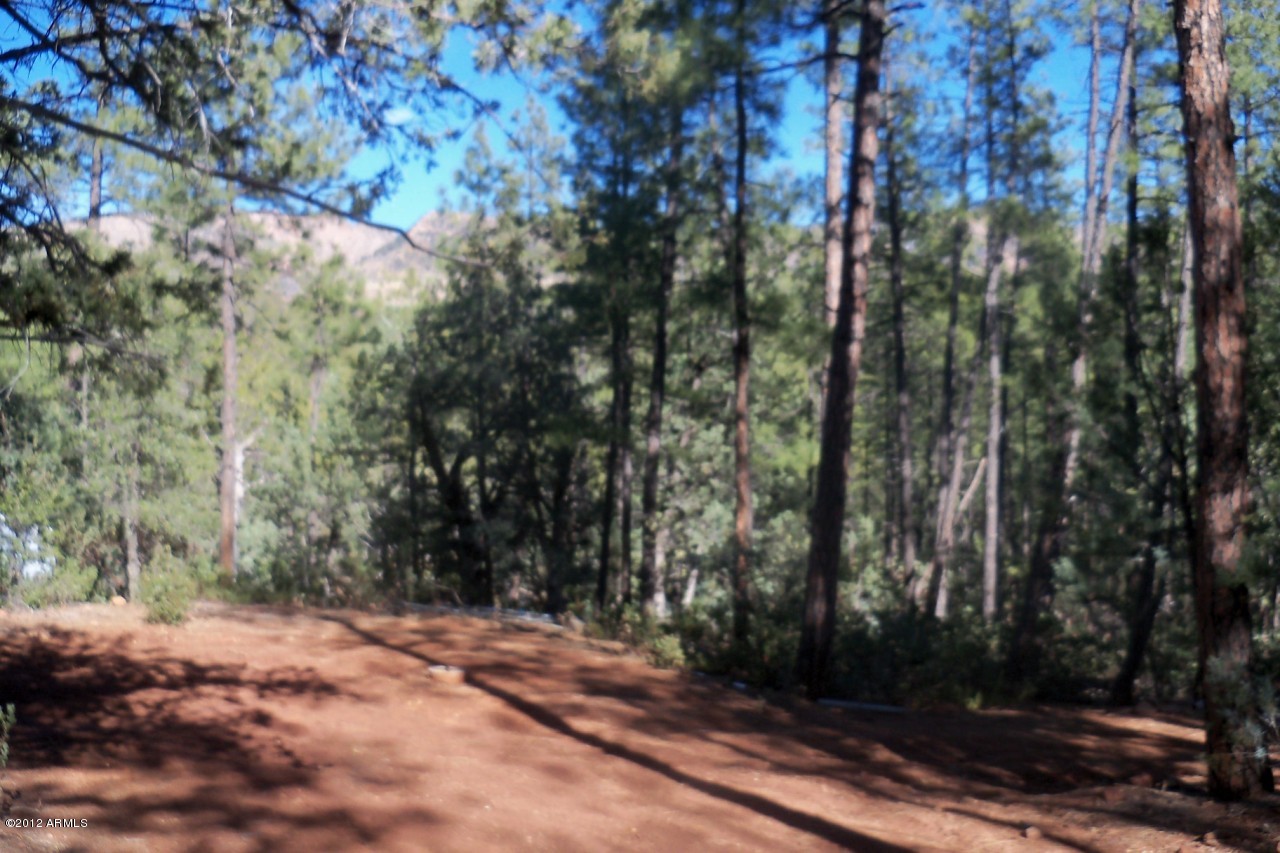 279 South Ranch Lane, Unit 123X Payson, AZ 85541 - Photo 1 of 4 Views of the Mogollon Rim