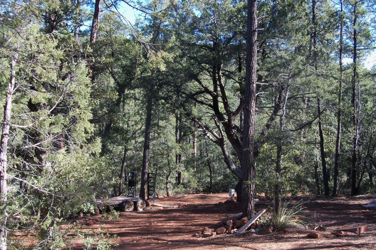 279 South Ranch Lane, Unit 123X Payson, AZ 85541 - Photo 3 of 4 Ponderosa Pines Backs to Forest
