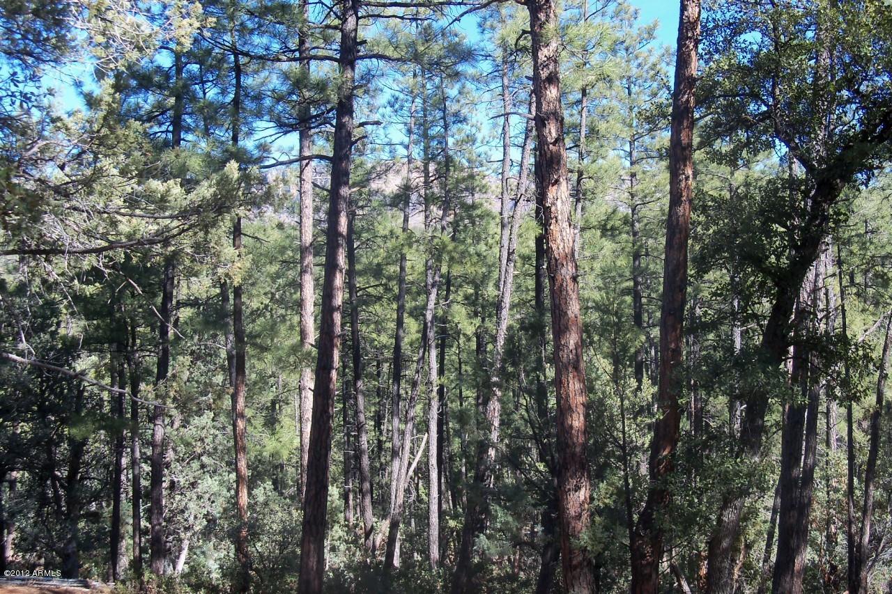 279 South Ranch Lane, Unit 123X Payson, AZ 85541 - Photo 4 of 4 Views!