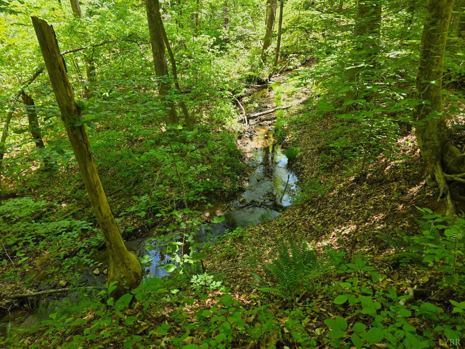 0 Holiday Lake Road Appomattox, VA 24522 - Photo 11 of 12 a view of a lush green forest