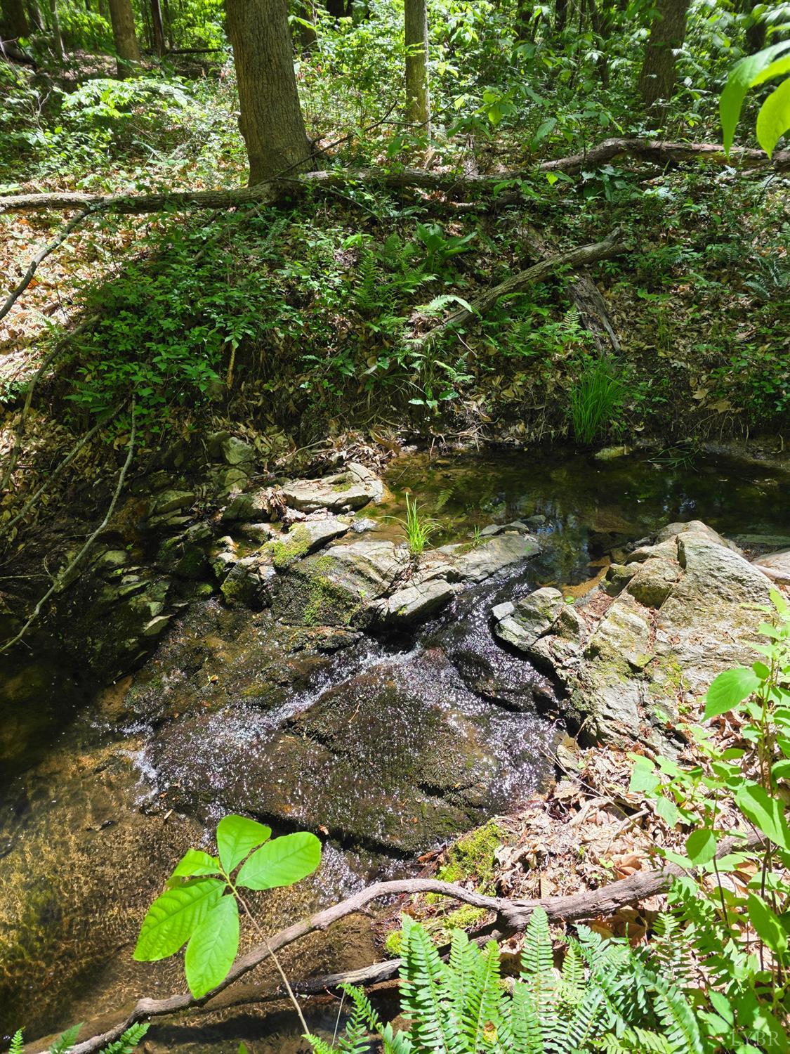 0 Holiday Lake Road Appomattox, VA 24522 - Photo 12 of 12 a view of lake from yard