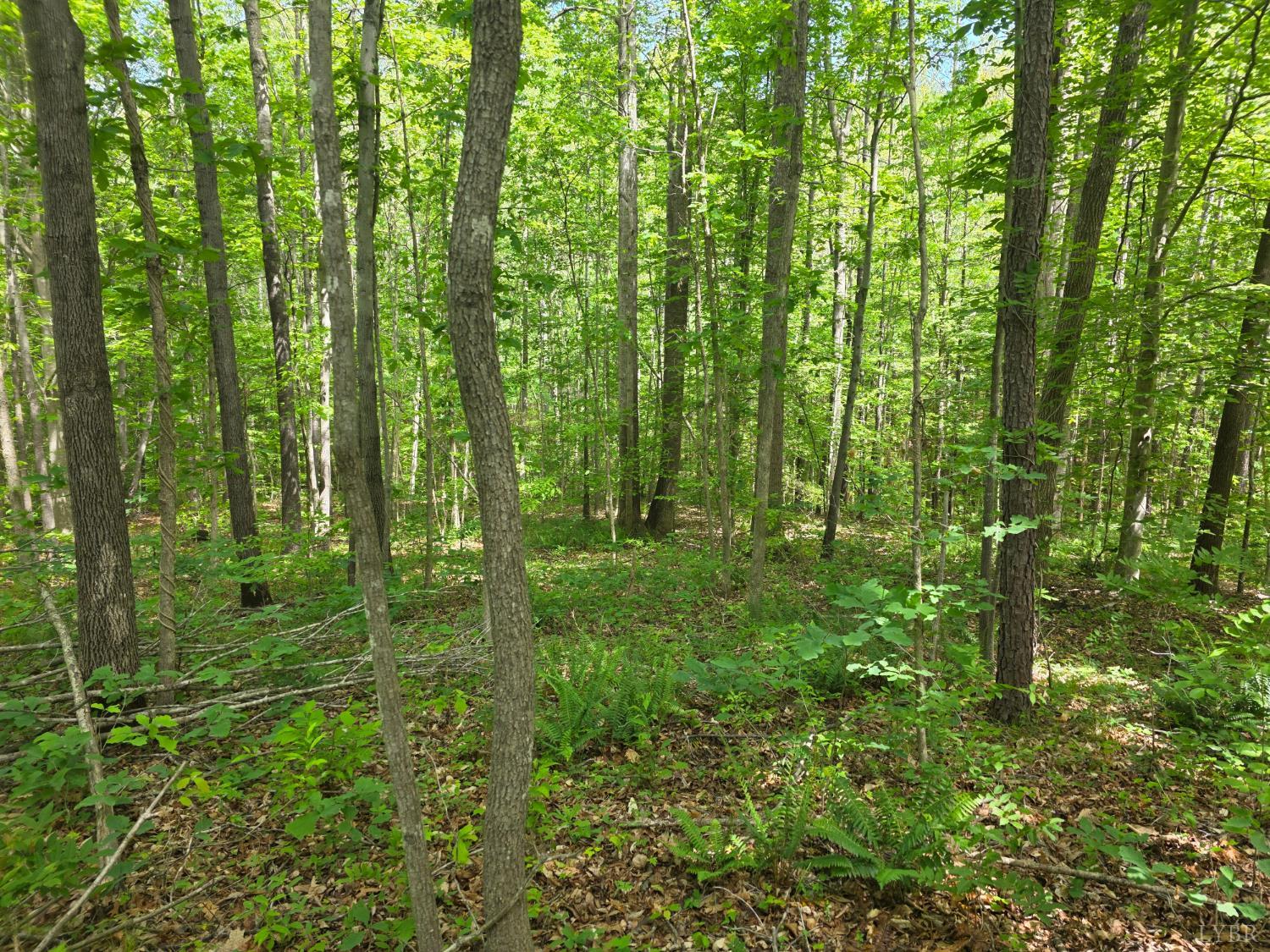 0 Holiday Lake Road Appomattox, VA 24522 - Photo 3 of 12 a view of outdoor space and green space