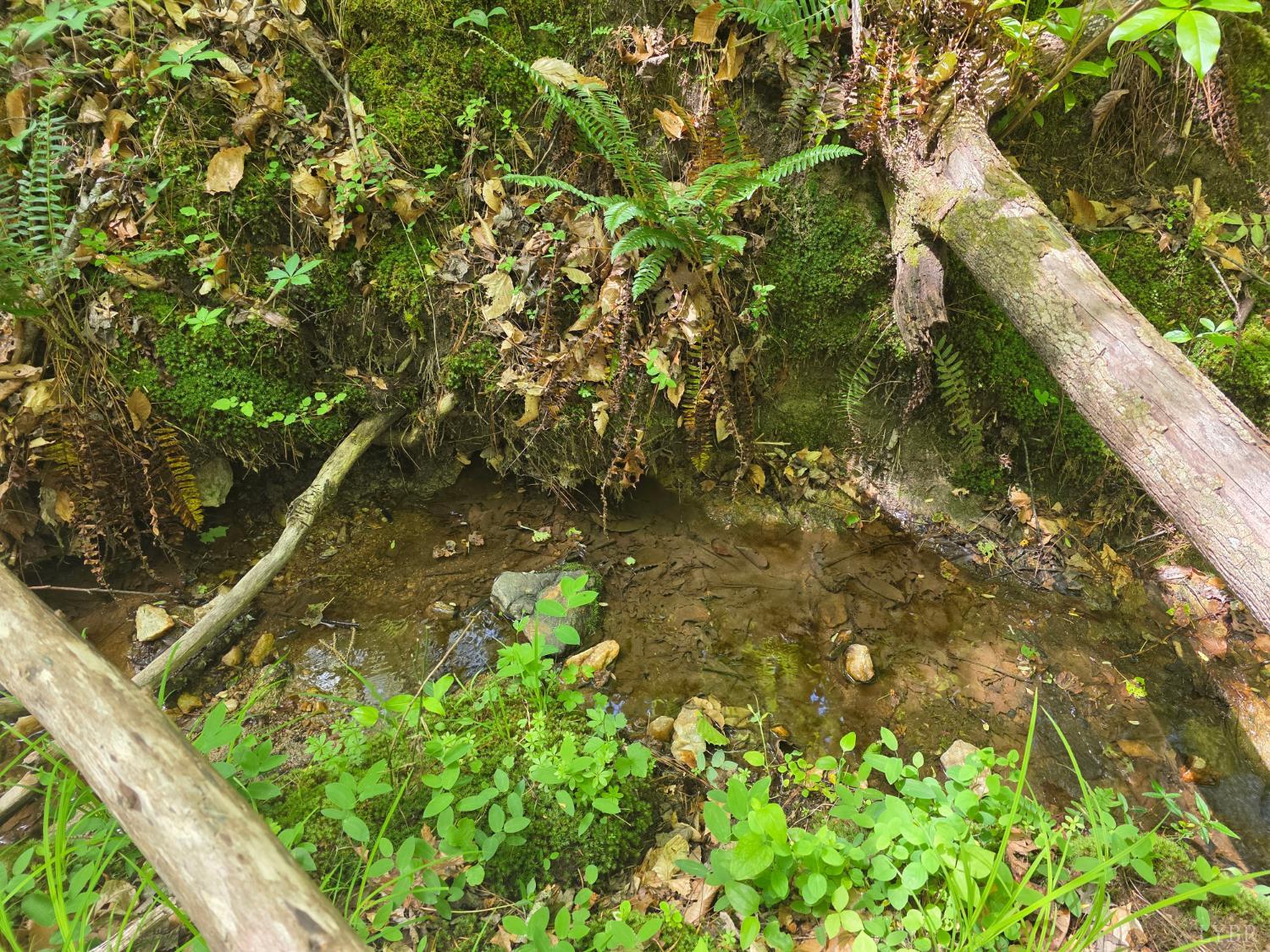 0 Holiday Lake Road Appomattox, VA 24522 - Photo 5 of 12 a backyard of a house with lots of green space