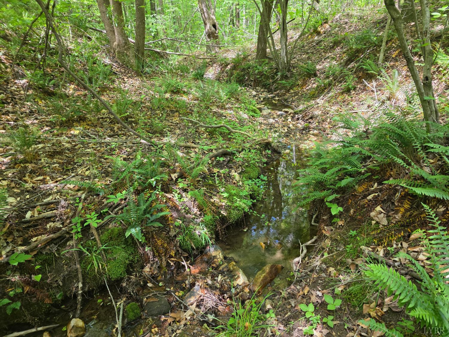 0 Holiday Lake Road Appomattox, VA 24522 - Photo 6 of 12 a view of a lush green forest