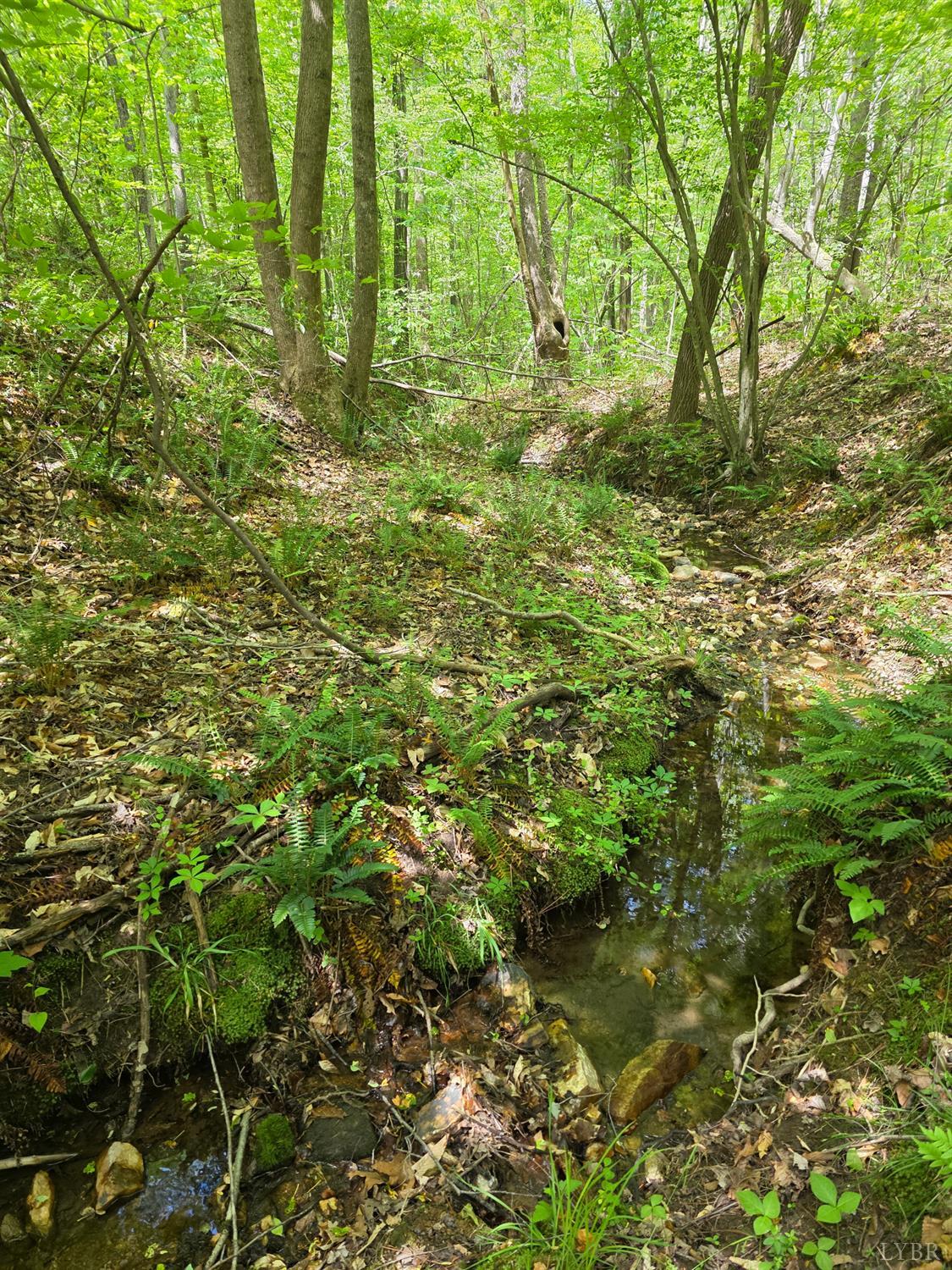 0 Holiday Lake Road Appomattox, VA 24522 - Photo 7 of 12 a view of outdoor space with a lake view