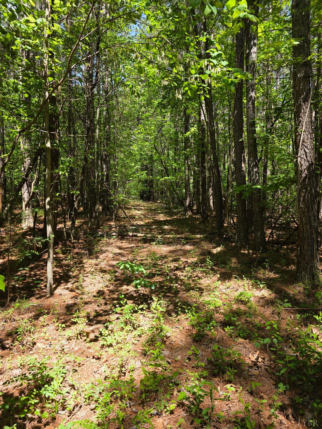 0 Holiday Lake Road Appomattox, VA 24522 - Photo 10 of 12 a view of outdoor space and yard