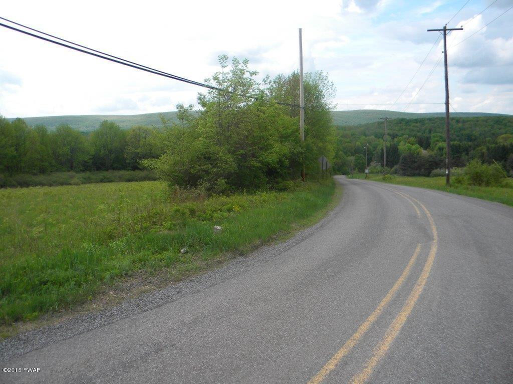 Silkman's Rd Lake Lake Ariel, PA 18436 - Photo 2 of 15