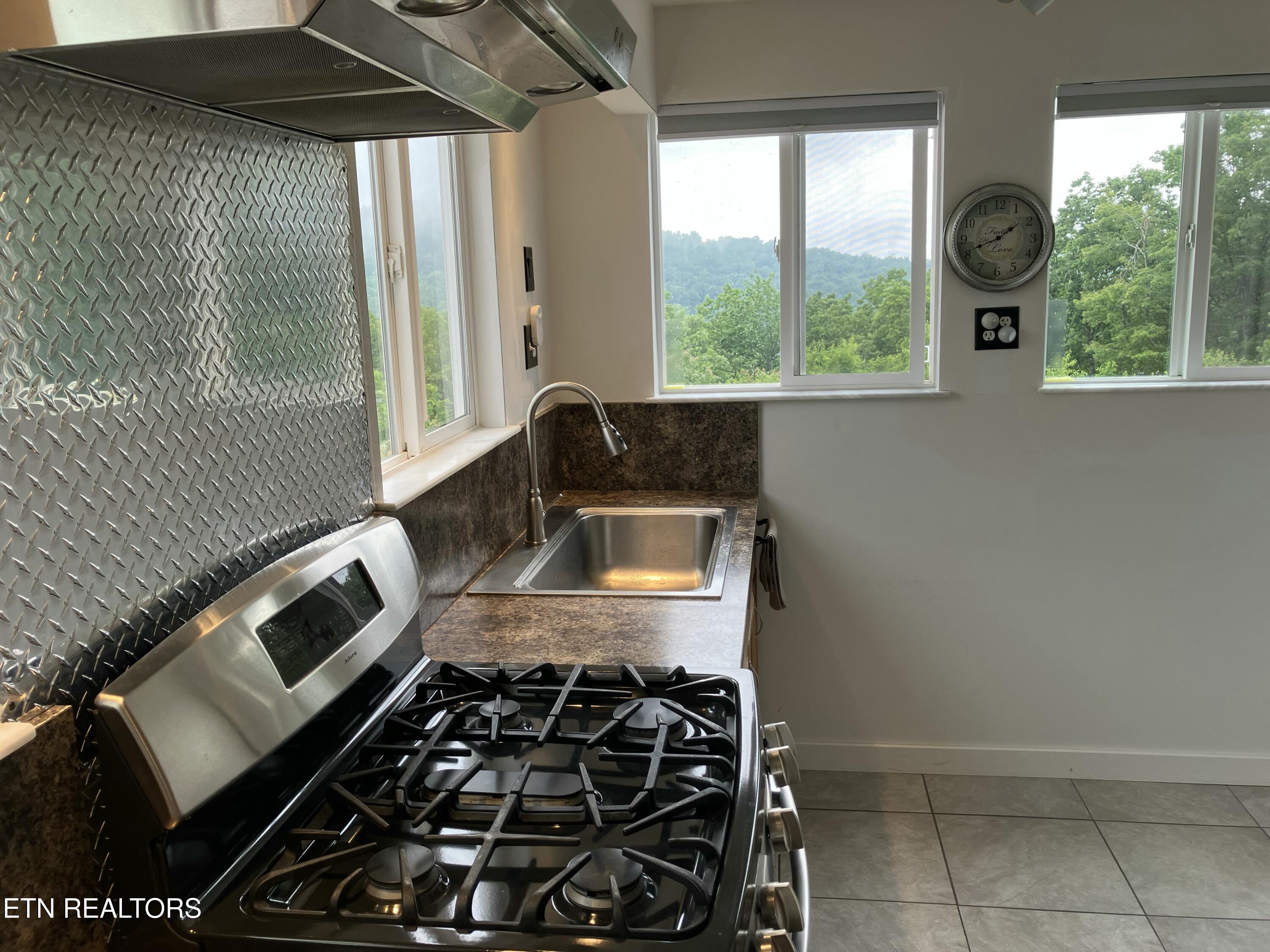 1407 Holloway Ridge Road Spring City, TN 37381 - Photo 51 of 60 1000020641