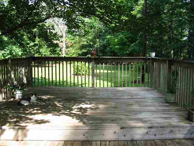 201 Moores Mill Road Pelzer, SC 29669 - Photo 4 of 20