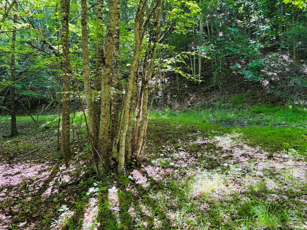 Tbd Pleasantview Road, Unit 72 Austinville, VA 24312 - Photo 47 of 63 Gallery Image 47