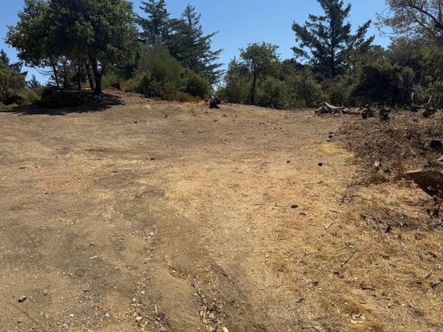 105 Silverline Road Morgan Hill, CA 95037 - Photo 15 of 34 a view of dirt field with trees