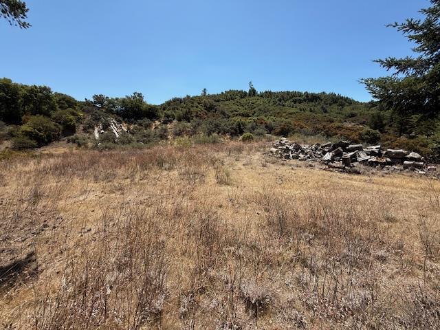 105 Silverline Road Morgan Hill, CA 95037 - Photo 16 of 34 a view of a field of grass and trees