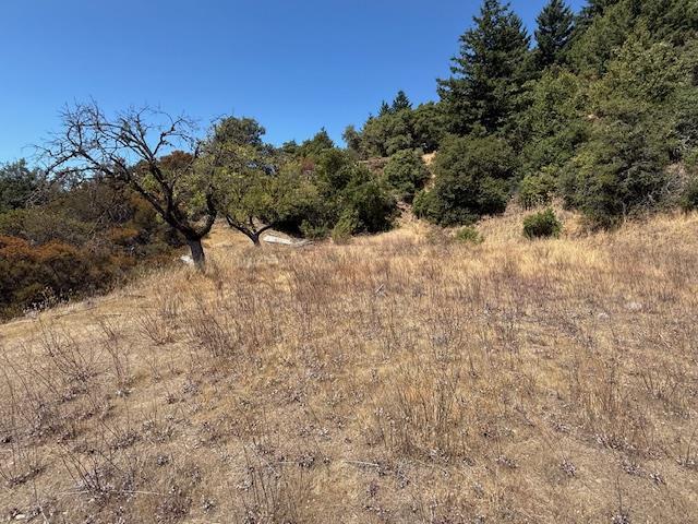 105 Silverline Road Morgan Hill, CA 95037 - Photo 17 of 34 a view of a dry yard with trees