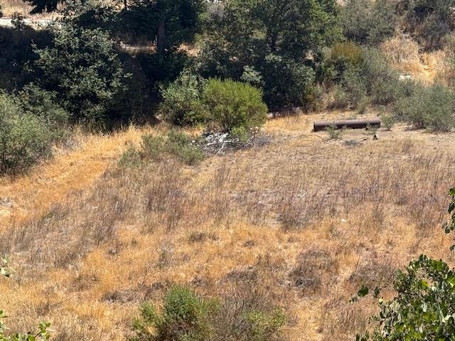 105 Silverline Road Morgan Hill, CA 95037 - Photo 19 of 34 a view of a yard with a tree