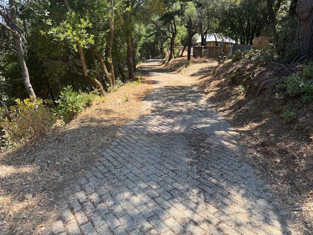 105 Silverline Road Morgan Hill, CA 95037 - Photo 23 of 34 a view of road and trees