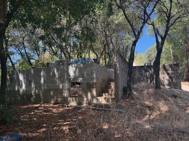 105 Silverline Road Morgan Hill, CA 95037 - Photo 7 of 34 a view of a forest filled with trees