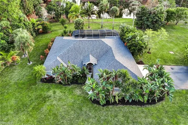 a view of a garden with potted plants