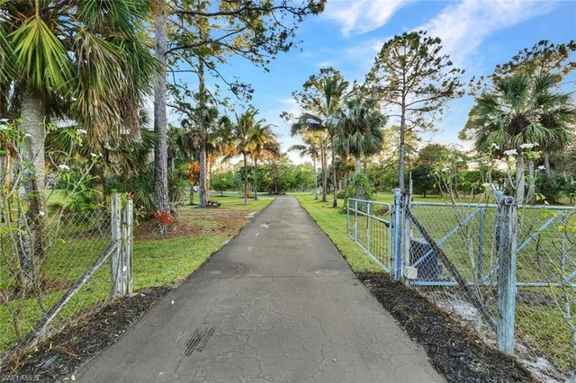 a view of a park with large trees