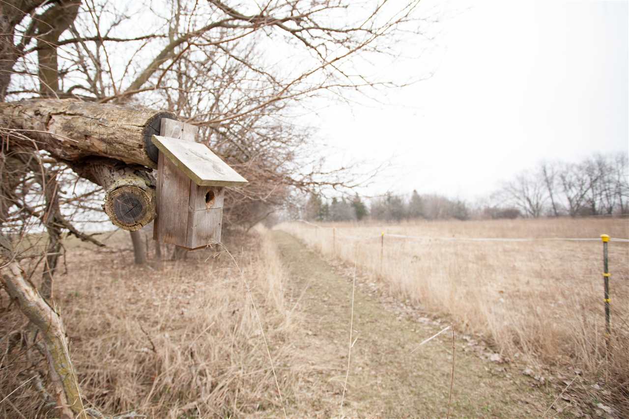 8325 South Gale Road Morrice, MI 48857 - Photo 43 of 58 Walking trails