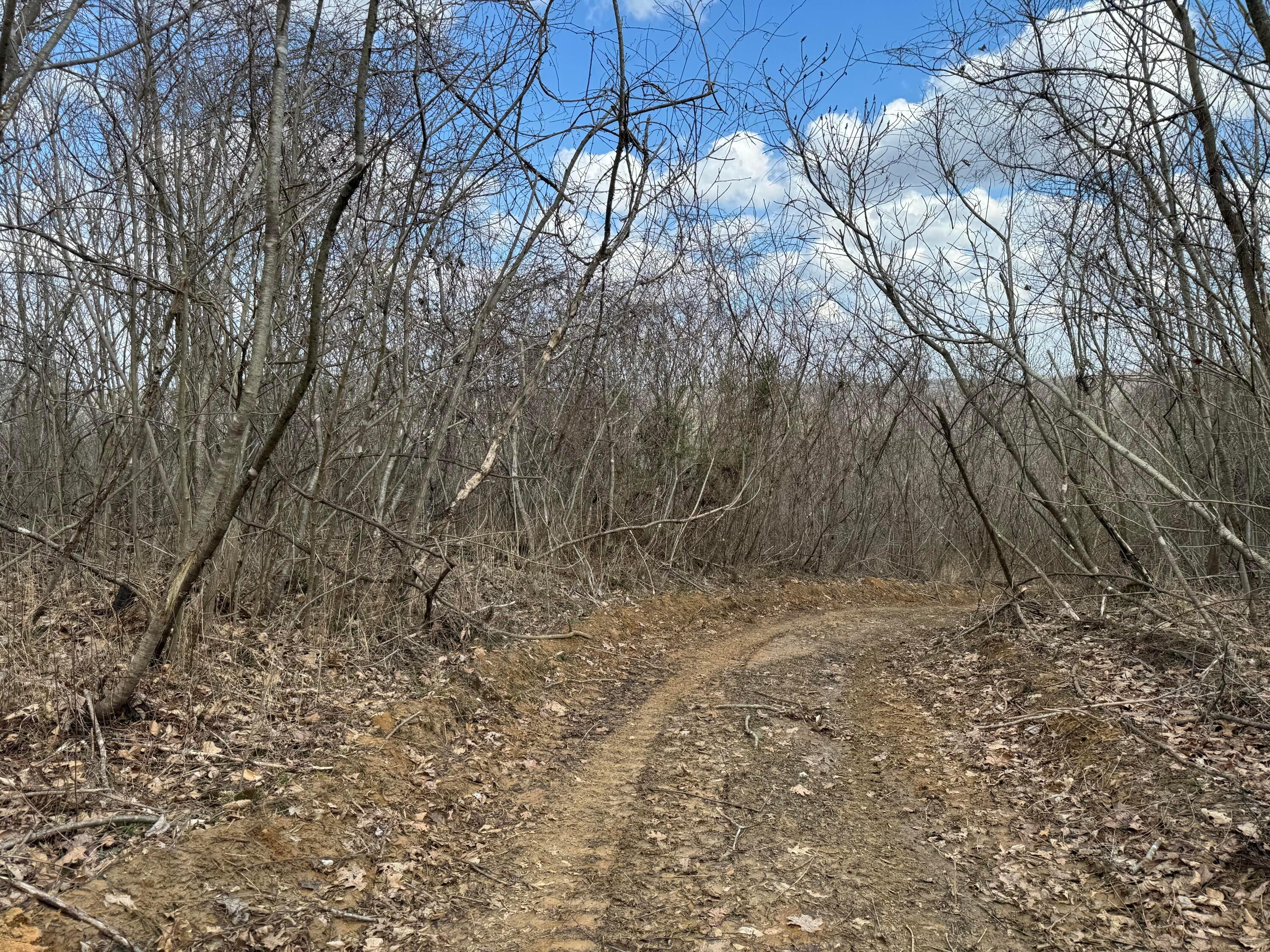 0 Flint Ridge Road Northeast, Unit INT RIDGE TRACT 22 ACRE) Crooksville, OH 43731 - Photo 42 of 48 20240304_191955886_iOS