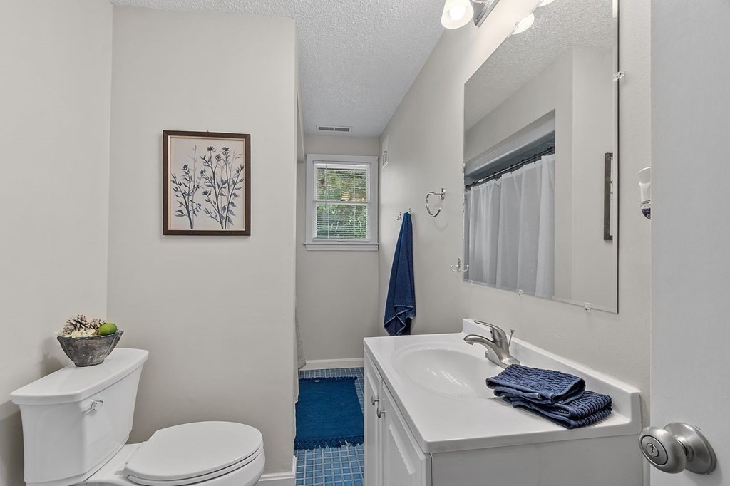 24 Algonquin Road Chelmsford, MA 01824 - Photo 28 of 38 a bathroom with a sink vanity and a toilet