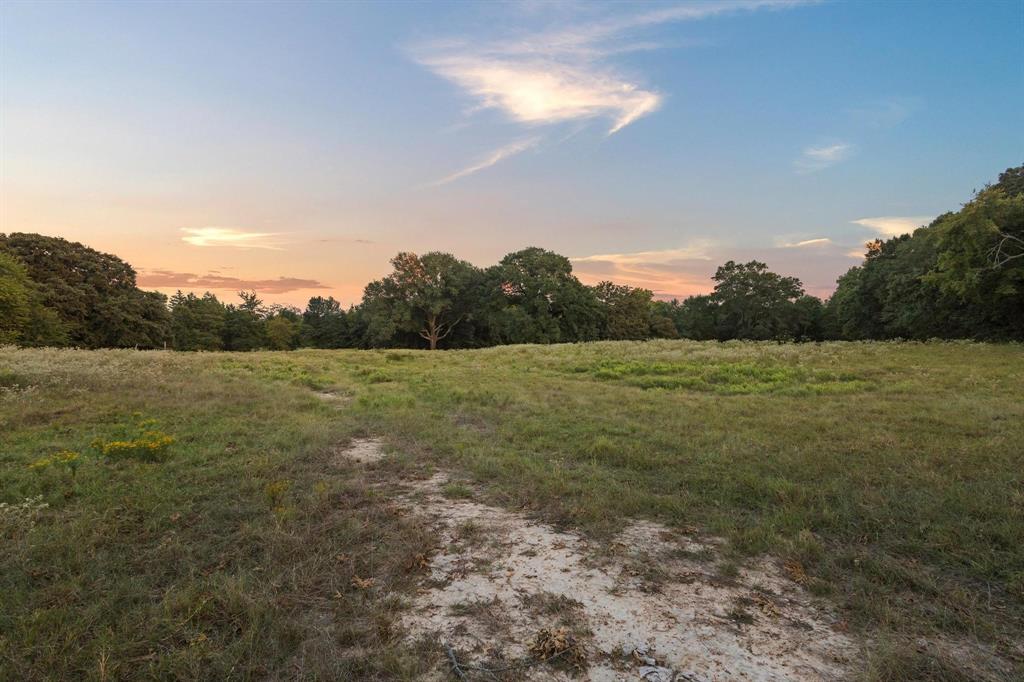 0 County Road 2615 Telephone, TX 75488 - Photo 12 of 23 a view of a field with an ocean view