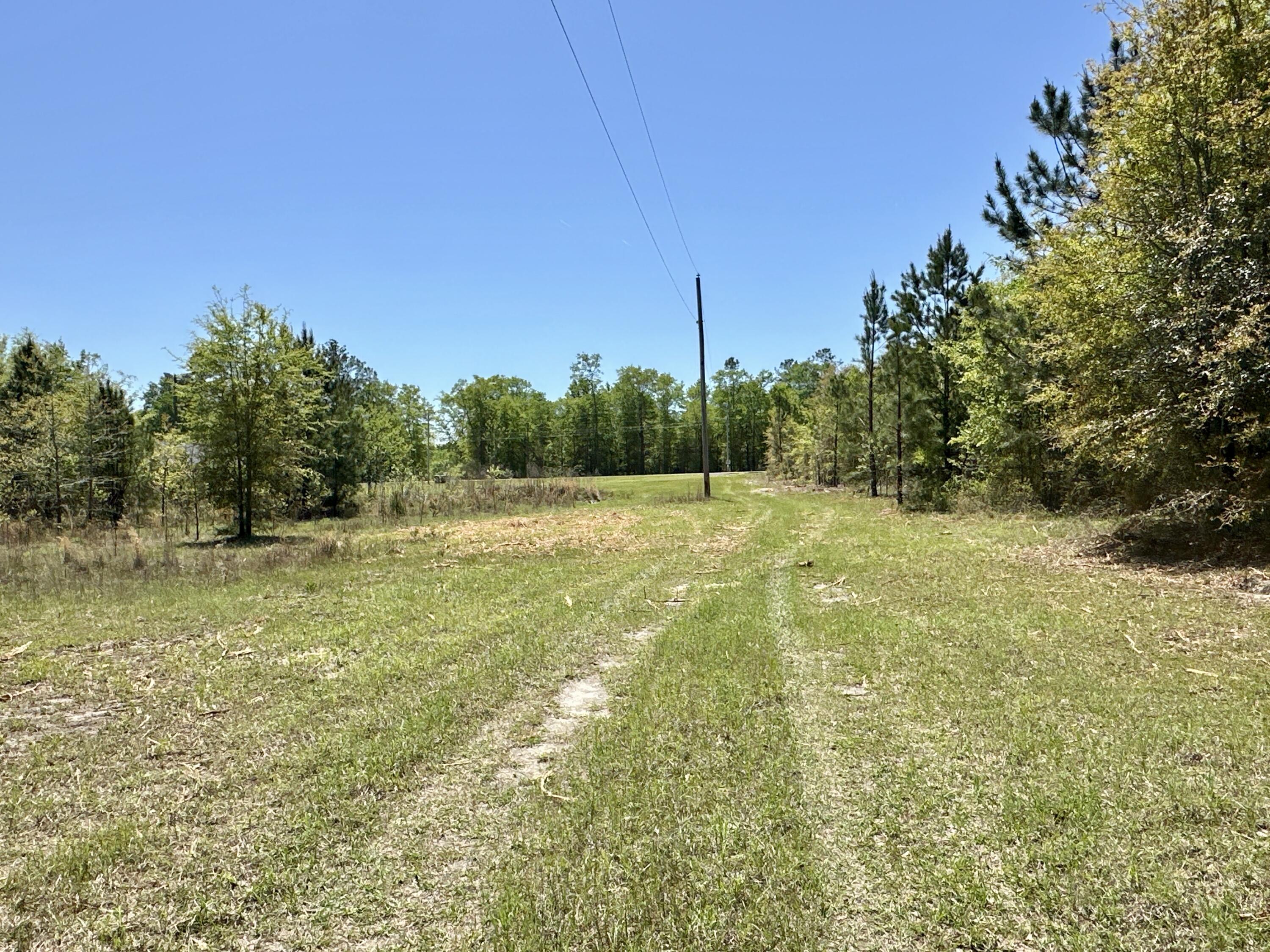 3021 Salley Road Salley, SC 29137 - Photo 57 of 73
