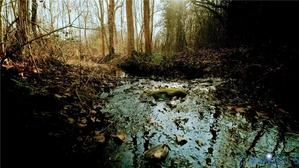 a bunch of trees and bushes