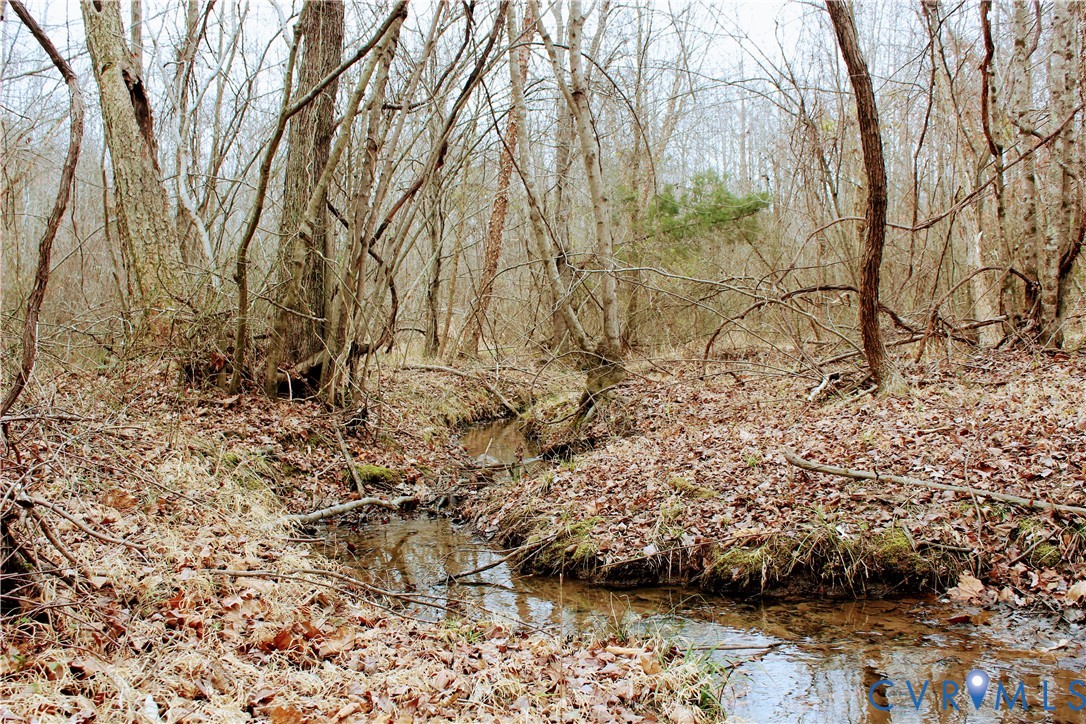 0 Cartersville Road New Canton, VA 23123 - Photo 16 of 49 a backyard of a house with lots of green space