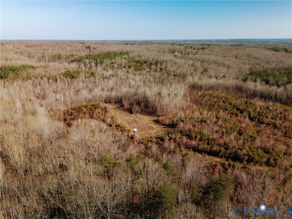 0 Cartersville Road New Canton, VA 23123 - Photo 18 of 49 a view of a lake in middle of forest