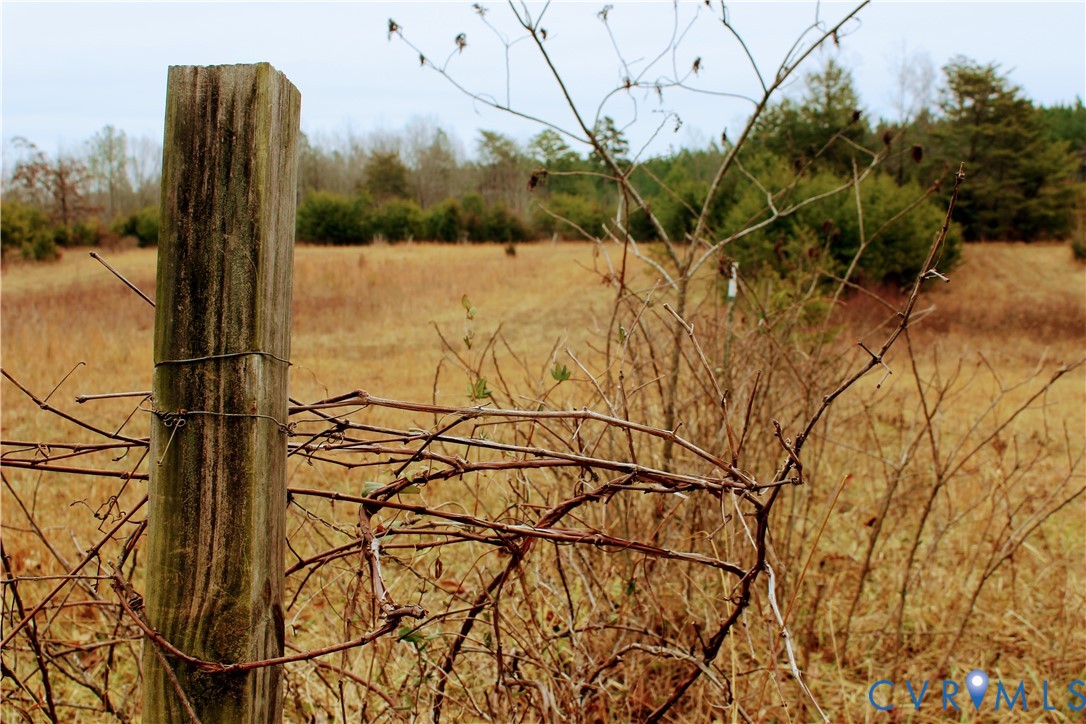 0 Cartersville Road New Canton, VA 23123 - Photo 19 of 49 a view of a yard