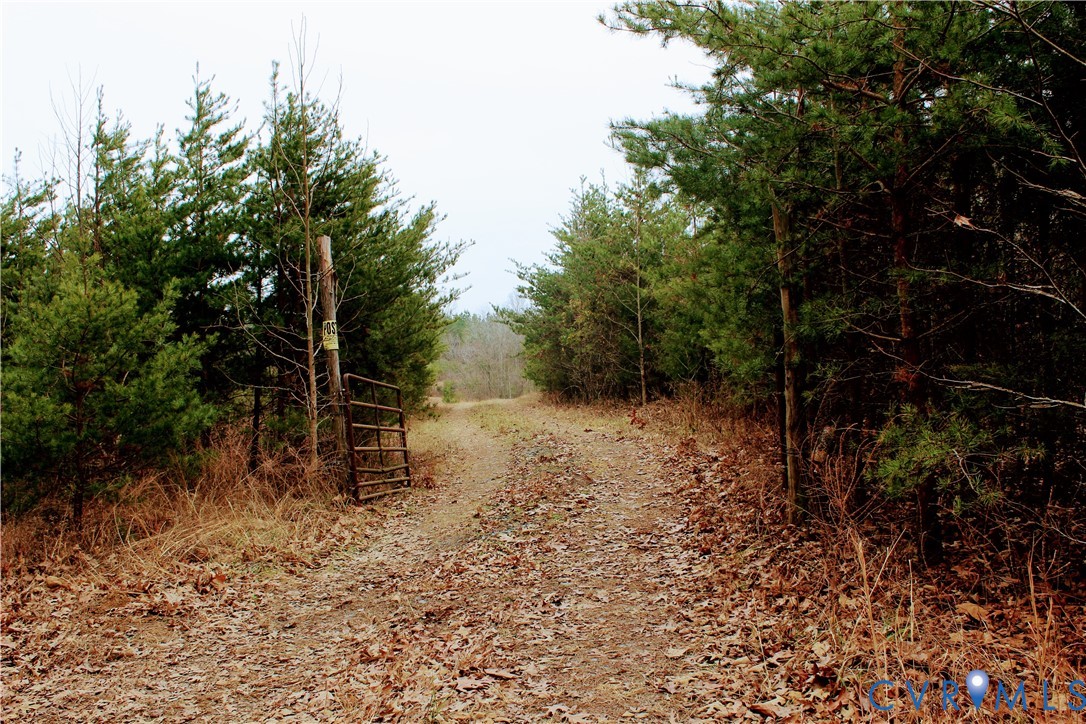 0 Cartersville Road New Canton, VA 23123 - Photo 22 of 49 a view of a forest filled with trees