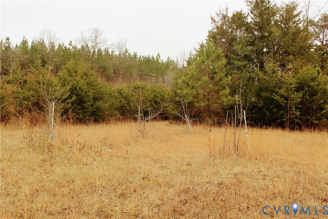 0 Cartersville Road New Canton, VA 23123 - Photo 23 of 49 a view of lake view and mountain view