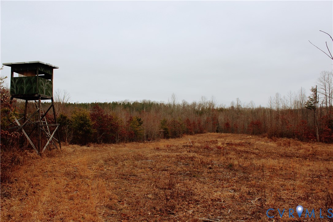 0 Cartersville Road New Canton, VA 23123 - Photo 25 of 49 a view of outdoor space with mountain view