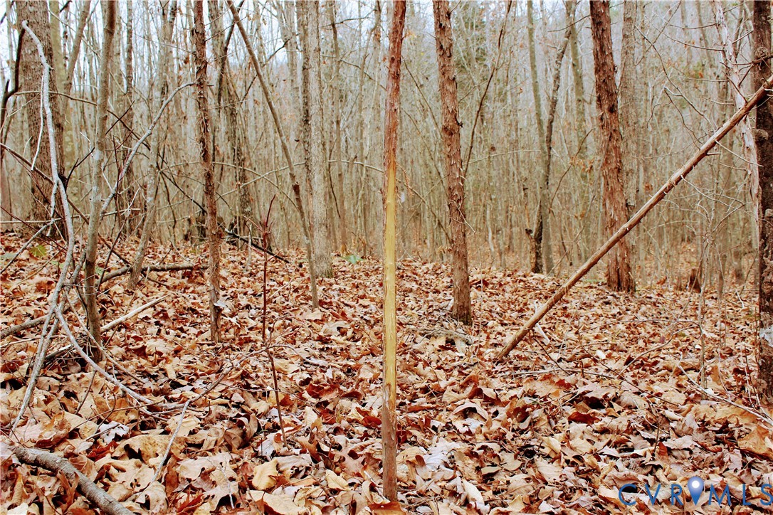 0 Cartersville Road New Canton, VA 23123 - Photo 26 of 49 a view of wooden fence