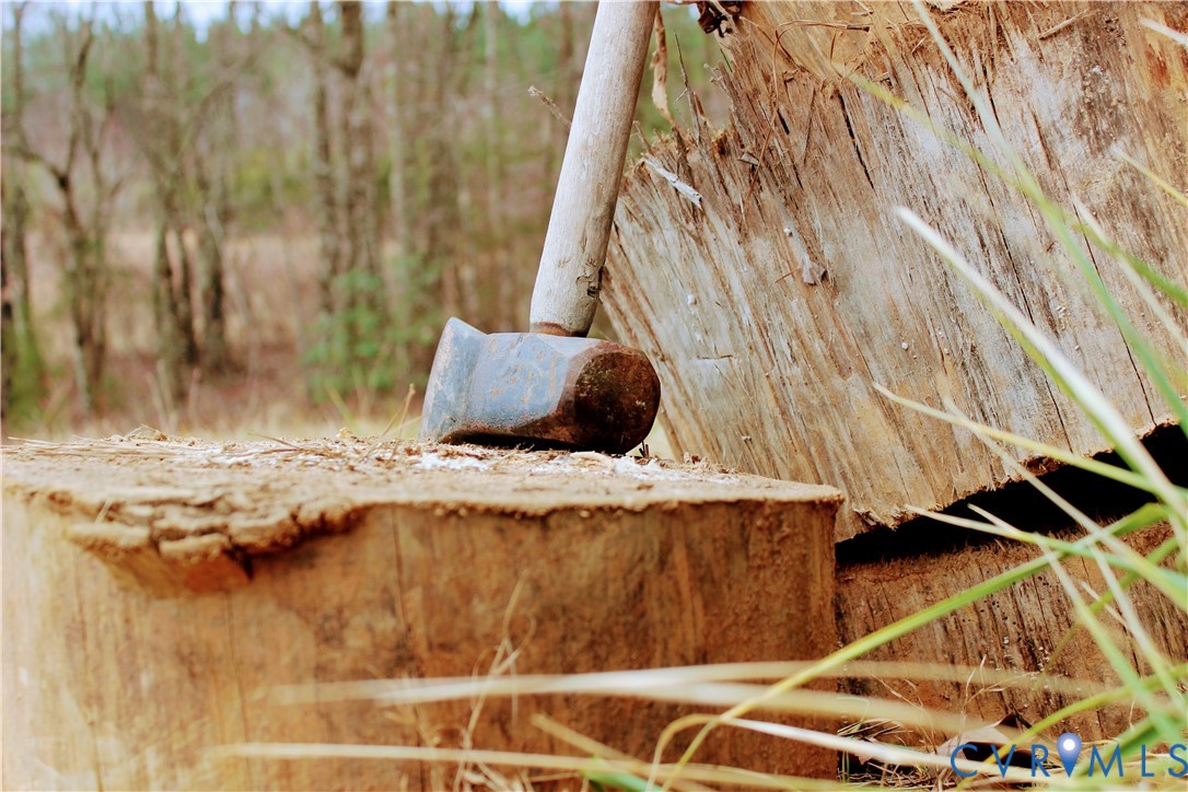 0 Cartersville Road New Canton, VA 23123 - Photo 27 of 49 a bedroom with a bed and a wooden floor