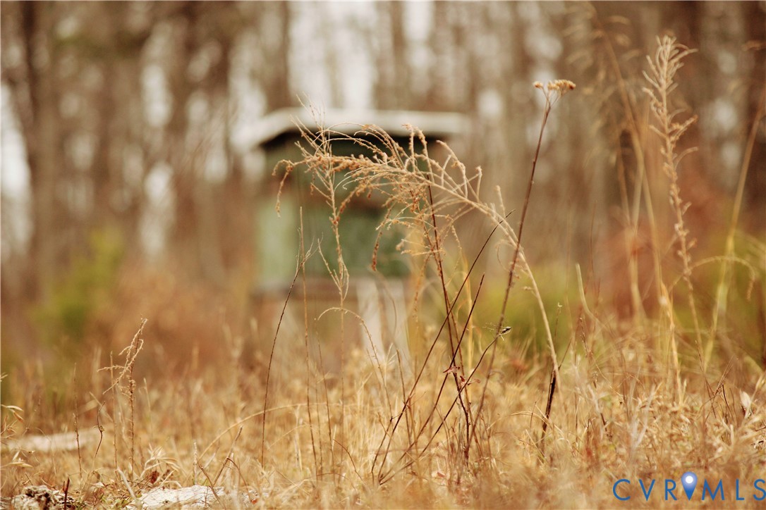 0 Cartersville Road New Canton, VA 23123 - Photo 28 of 49 a close up of a shower curtain